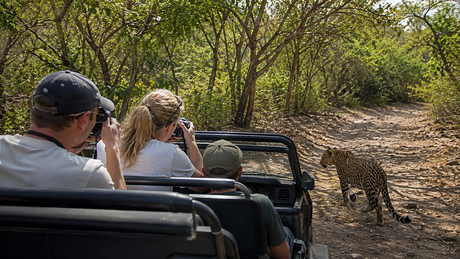 Is the Jhalana Leopard Safari worth it?