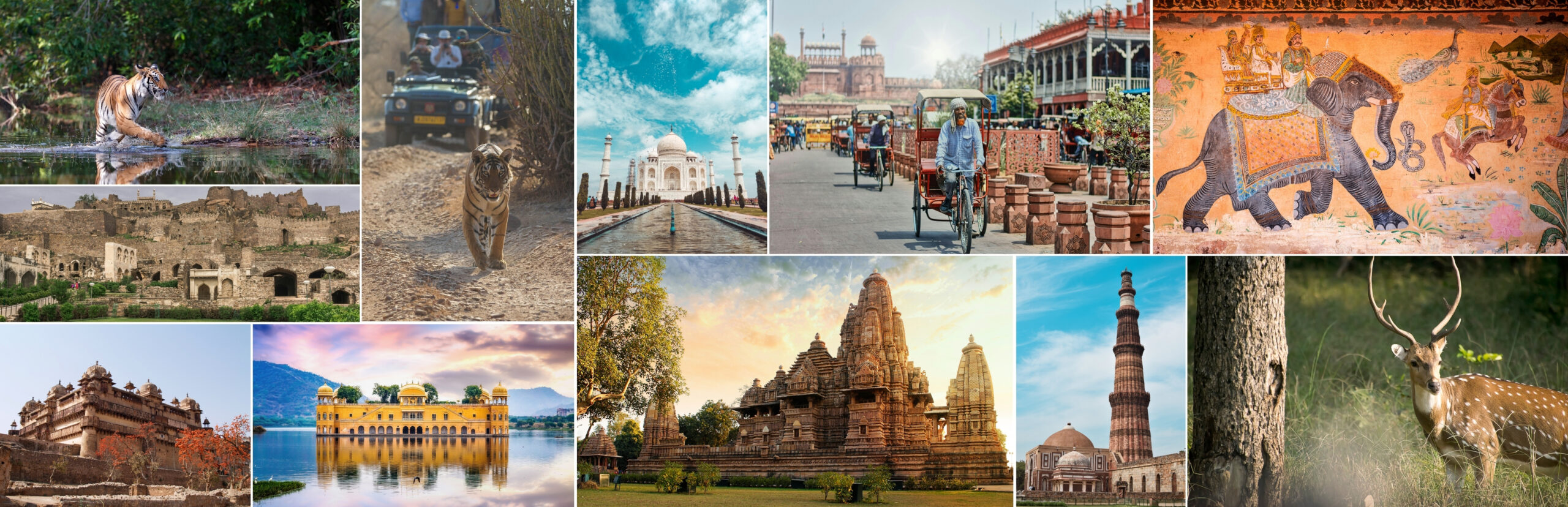 Wildlife Religious Tour For 3 Days and 2 Night