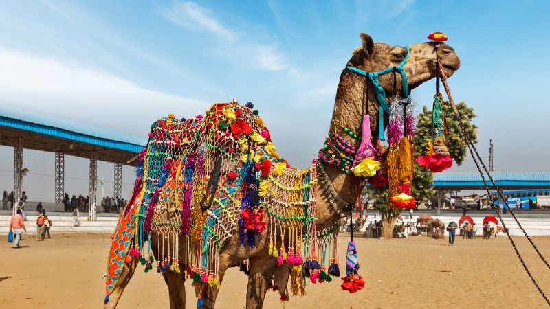 Rajasthan Trip For 7 Days
