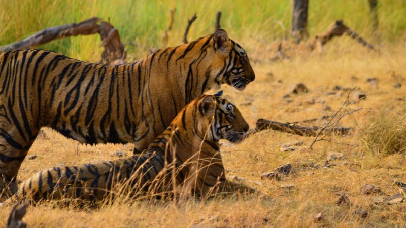 Rajasthan Trip for 3 Days