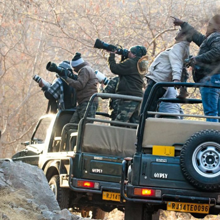 Countryside Jeep Safari