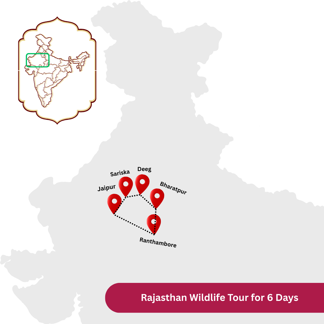 Rajasthan Wildlife Tour for 5 Nights 6 Days
