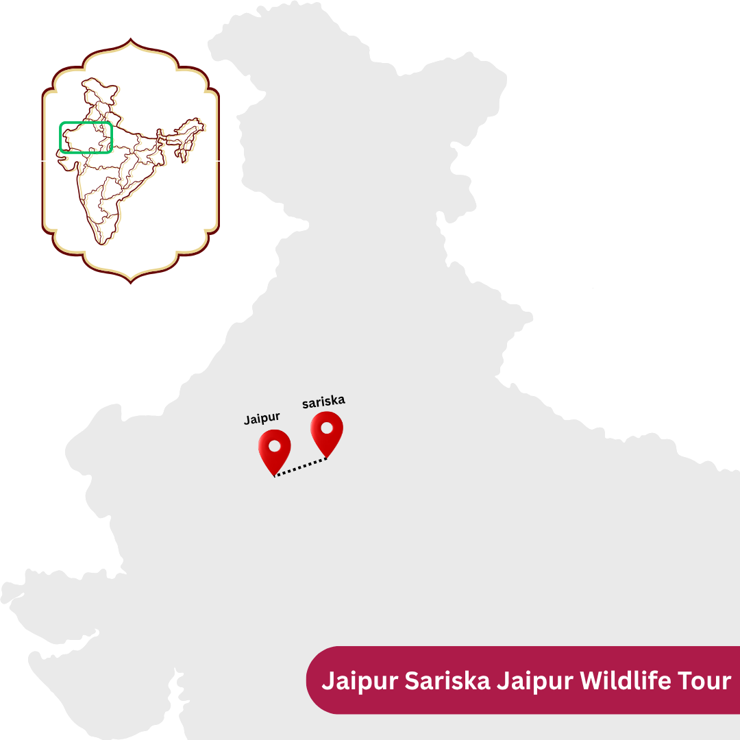 Jaipur Sariska Jaipur Wildlife Tour