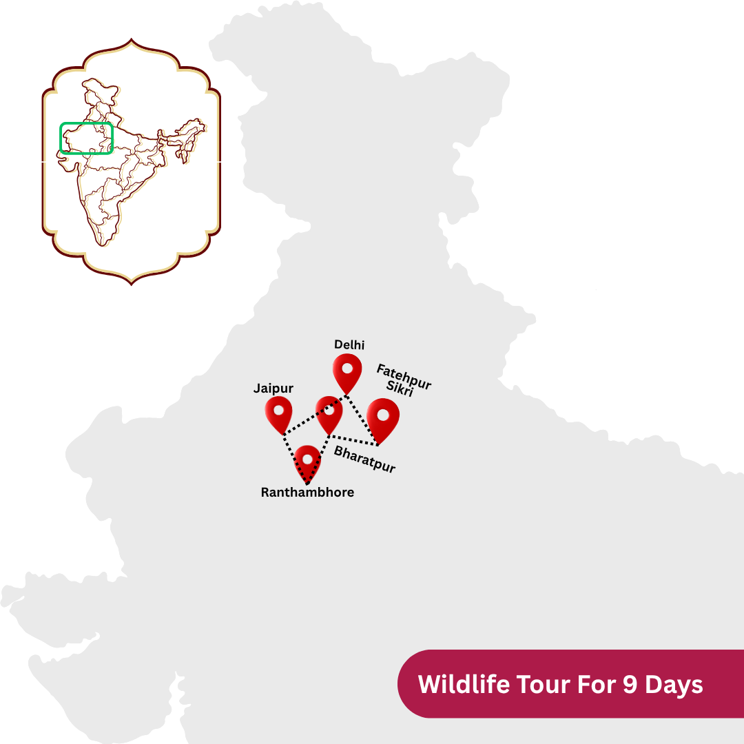 Wildlife Tour For 9 Days 8 Nights