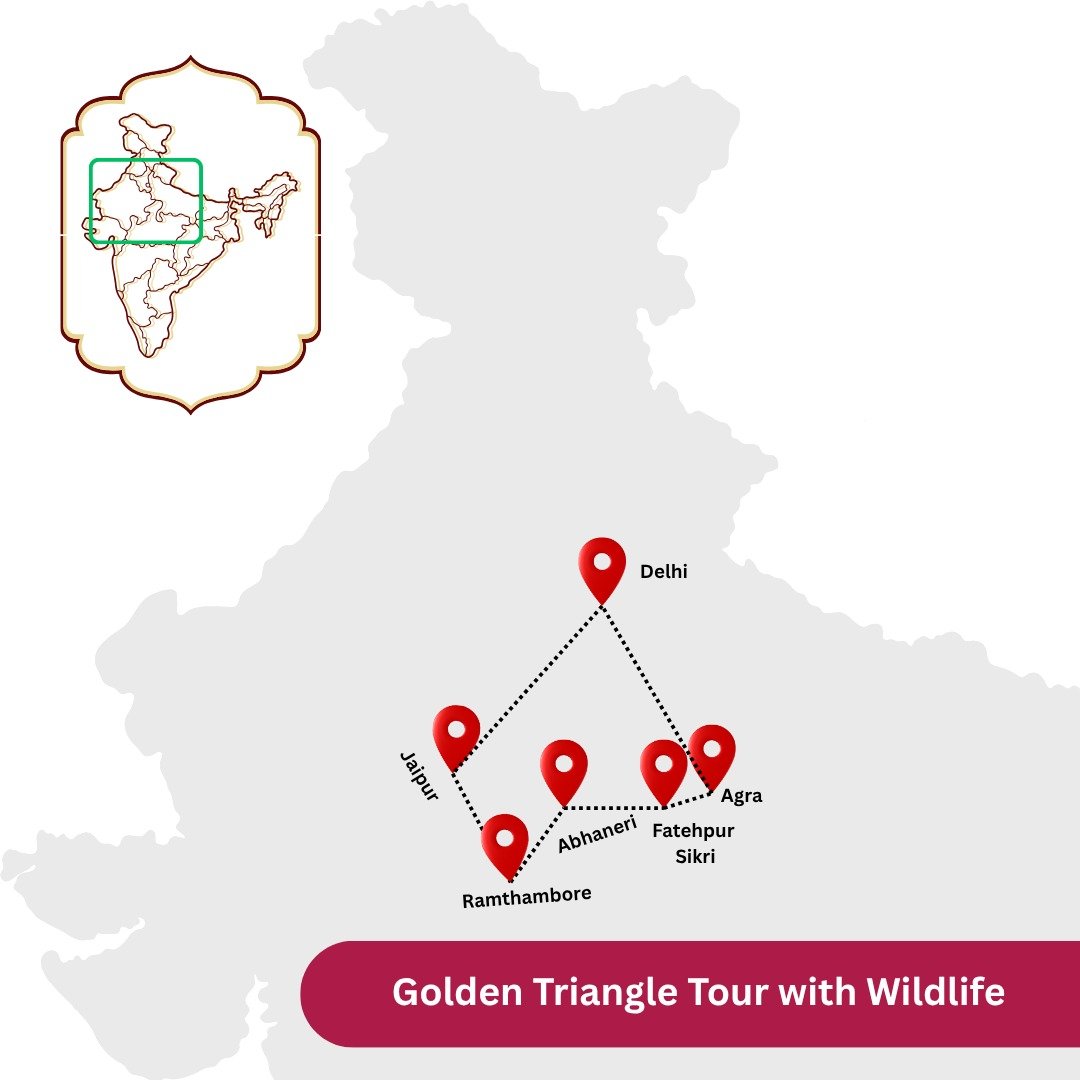 Golden Triangle & Wildlife Experience
