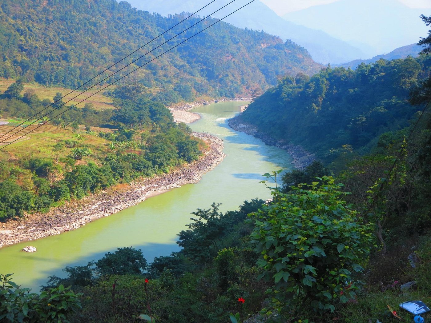 Kurintar