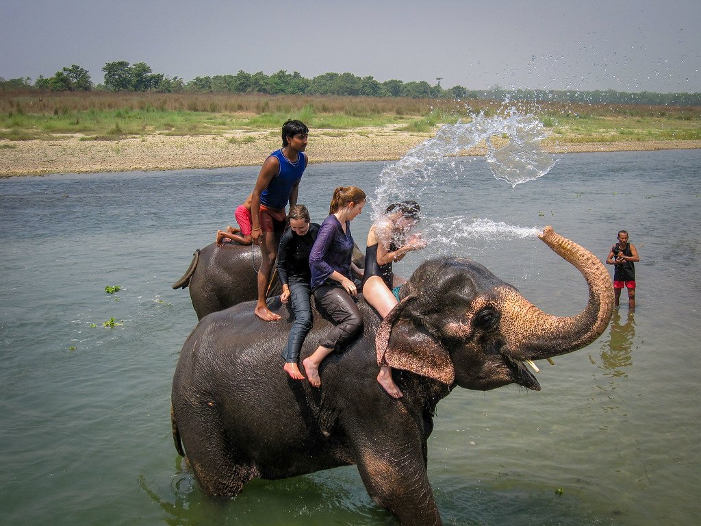 Chitwan