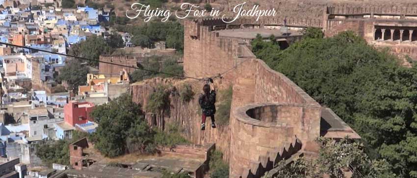 Flying Fox Jodhpur
