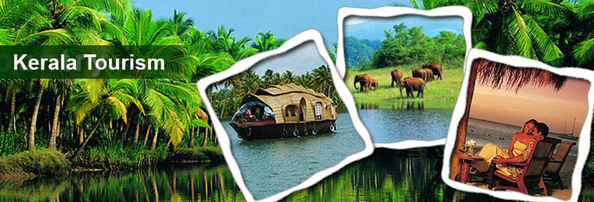 kerala tour package