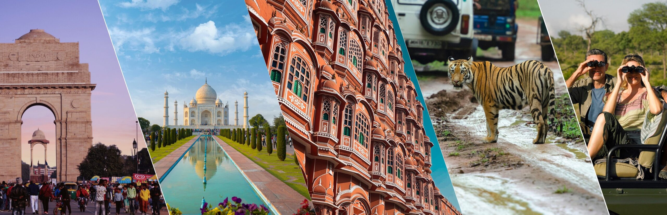 Golden Triangle Tour with Ranthambore