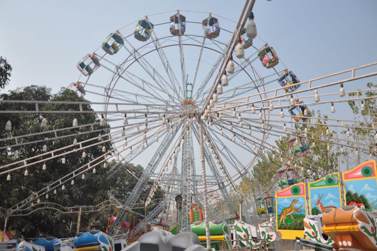 Makar Sankranti and Khichdi Mela