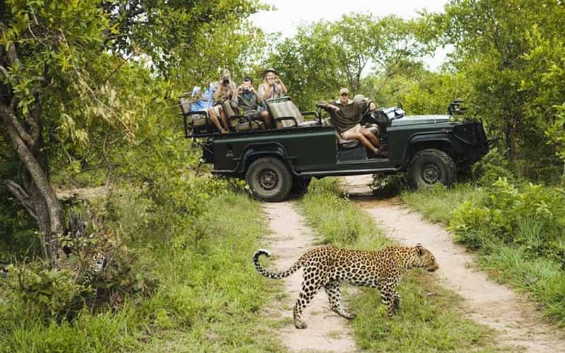 Wildlife Sanctuary Kumbhalgarh