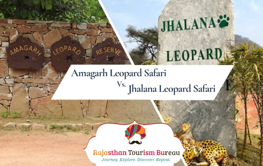 amagarh leopard safari vs. jhalana leopard safar